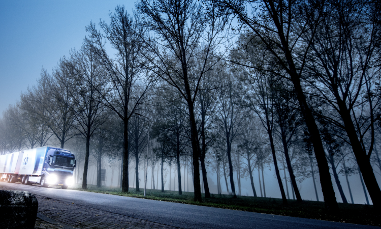 Vrachtwagen In Mist